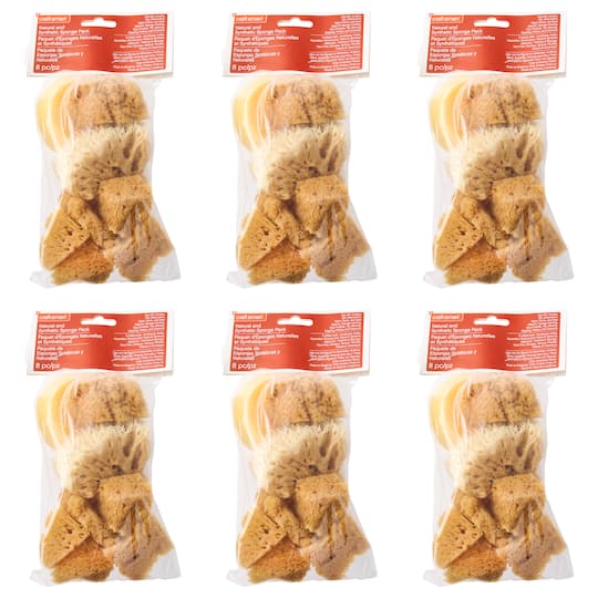 6 Pack: Variety Sponge Value Pack by Craft Smart®